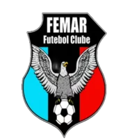 FEM